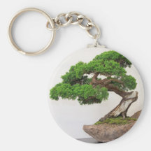 Bonsai tree- natural key chain