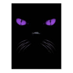 Boo - Amethyst Postcard