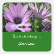 book plate, purple daisy flowers square stickers