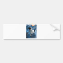 Booze Bumper Sticker