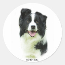 Border Collie 9A015D-24 Sticker