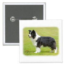 Border Collie 9R071D-059 Pinback Buttons