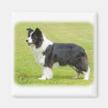 Border Collie 9R071D-059 Refrigerator Magnets