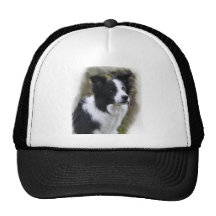 Border Collie Art Gifts Hats