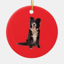 Border Collie Christmas Ornament