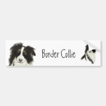Border Collie Dog o Bumper Stickers