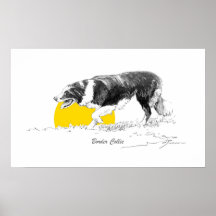 Border Collie Print