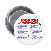 BORDER COLLIE Property Laws 2 Pins