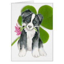 Border Collie St. Paddy's Day Notecard