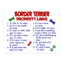 BORDER TERRIER Property Laws 2 Postcards