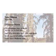 Boreal forest at Scoter Lake Business Cards