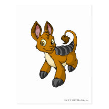 Bori Brown Post Card
