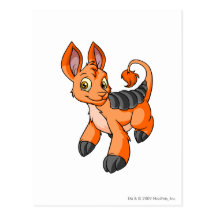 Bori Orange Postcard