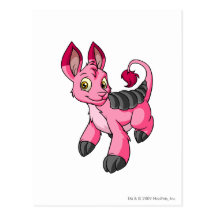 Bori Pink Postcard