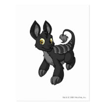 Bori Shadow Post Card