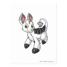 Bori White Postcards