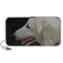 Borzoi Speakers