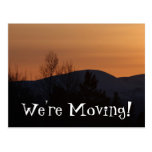 BOSI Boreal Silhouette Post Cards