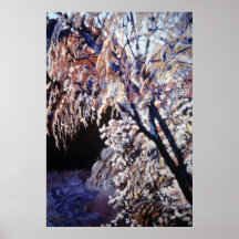 Bosque by the Rio Grande Poster
