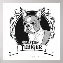 BOSTON TERRIER (2) POSTERS
