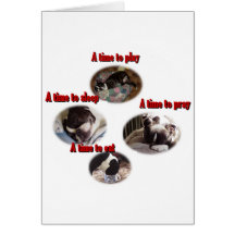 Boston Terrier:  A Time Greeting Card