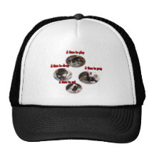 Boston Terrier:  A Time Hats