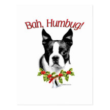 Boston Terrier Bah Humbug Postcard