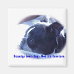 Boston Terrier:  Beauty, Love, Joy Magnet