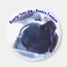 Boston Terrier:  Beauty, Love, Joy Refrigerator Magnet