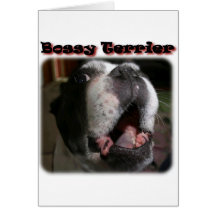 Boston Terrier:  Bossy Terrier Cards