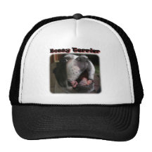 Boston Terrier:  Bossy Terrier Hat