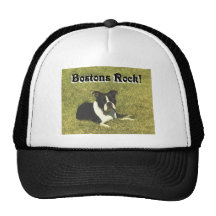 Boston Terrier:  Bostons Rock Trucker Hat