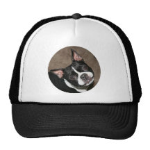 Boston Terrier:  Bright Face Hat