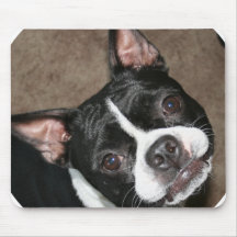 Boston Terrier:  Bright Face Mouse Pad