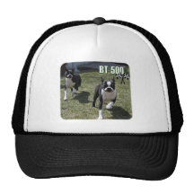 Boston Terrier:  BT 500 Hat