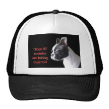 Boston Terrier:  BT zoomies taking toll Mesh Hat