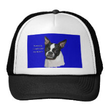 Boston Terrier:  Can't hold her licker Hat