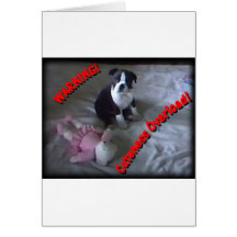 Boston Terrier:  Cuteness Overload! Cards