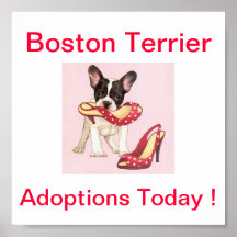 Boston Terrier Dog Adoptions Today Sign Poster