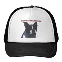 Boston Terrier:  Floppy Ears are Cool! Hats