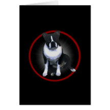 Boston Terrier:  Glowing Cards
