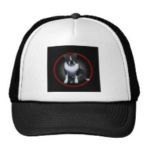 Boston Terrier:  Glowing Mesh Hats