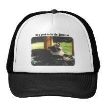 Boston Terrier:  Good to be Princess Mesh Hats