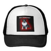 Boston Terrier:  Got Milkbones? Hats