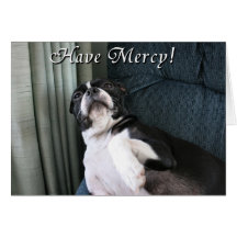 Boston Terrier:  Have Mercy! Greeting Card
