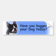 Boston Terrier:  Have you hugged your dog? Bumper Sticker