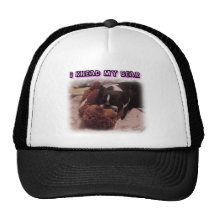 Boston Terrier:  I Knead My Bear Hats