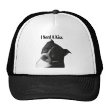 Boston Terrier:  I Need a Kiss Mesh Hats