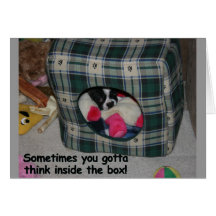 Boston Terrier:insidebox Cards