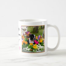 Boston Terrier Mug